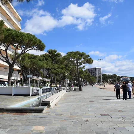 Fabiola Costabravasi