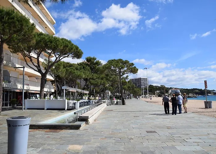 Fabiola Costabravasi